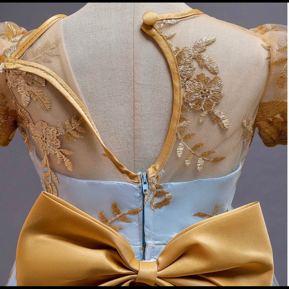 Easter Dress 🩵 Flower Girl Spring Blue Tulle Gold Lace Pageant Gown - Kids 5 - Picture 3 of 5